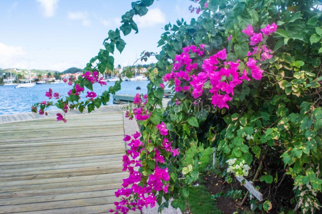 The Harbour Aparthotel Rodney Bay Exterior foto