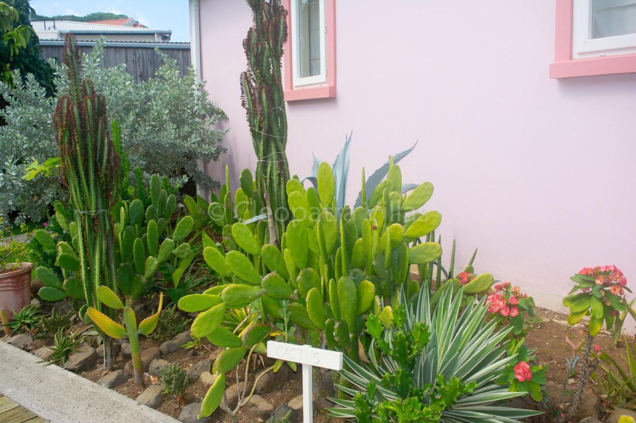 The Harbour Aparthotel Rodney Bay Exterior foto